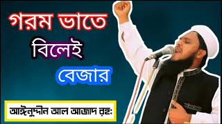 গরম ভাতে বিলাই বেজার। আইনুদ্দিন আল আজাদ রাহমাতুল্লাহি আলাইহি।