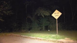 Greenville Police identify body found near creek