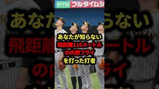 あなたが知らない飛距離110メートルの内野フライを打った打者 #プロ野球 #野球 #shorts