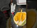 Is Durian the King of Fruits? Taste Test Inside #durian