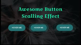 Button With Awesome Hover Scalling Effects Using Only HTML & CSS