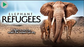 ELEPHANT REFUGEES: WHERE ELEPHANTS RULE 🌍 Full Exclusive Nature Documentary 🌍 English HD 2023