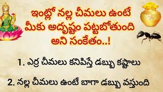 ఇంట్లో నల్ల చీమలు ఉంటే మీరు త్వరలో ధనవంతులు అవుతారు||ఎర్ర చీమలు ఉంటే మంచిది కాదు||ధర్మ సందేహాలు