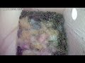 巣作り11日目 シジュウカラの巣箱 天井巣箱カメラ 野鳥 2023 04 17 bird nest box live camera japanesetit greattit