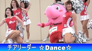 STARJETS 2016 フライトクルー チアリーダーズ Dance Show