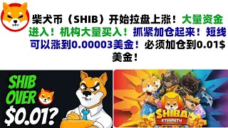 柴犬币（SHIB）开始拉盘上涨！大量资金进入！机构大量买入！抓紧加仓起来！短线可以涨到0.00003美金！必须加仓到0.01$美金！shib币|柴犬币|屎币行情分析！