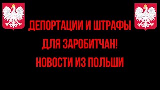 Депортации и штрафы для заробитчан! Новости из Польши