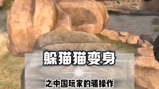 躲猫猫变身之中国玩家的离谱操作#CSGO#躲猫猫