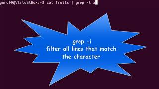 Pipes, Grep, Sort Linux Tutorial 9