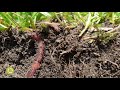 best4soil crop rotation – practical information et