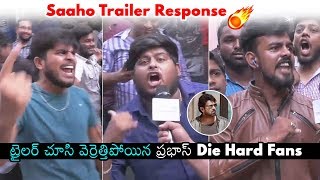 Prabhas Die Hard Fans Response To Saaho Trailer | Shraddha Kapoor | Sujeeth | Daily Culture