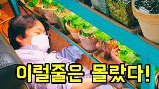 선반용 식물등의 끝판왕 설치