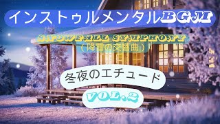 【Snowfall Symphony（降雪の交響曲）】冬夜のエチュード - Etude of the Winter Night.2