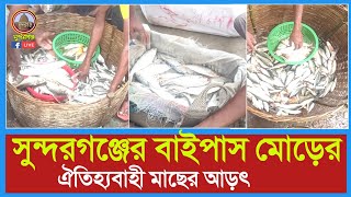 সুন্দরগঞ্জের বাইপাস মোড়ের ঐতিহ্যবাহী মাছের আড়ৎ | Fish Market | Sundarganj