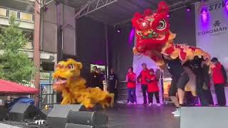 舞獅 溫哥華喇嘛派 Vancouver Tibetan Martial Arts 2019 華埠節 Chinatown festival