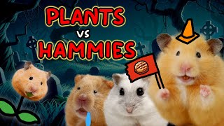 Plants vs Hammies