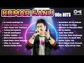 kumar sanu hit songs 90s superhit hindi romantic songs sadabahar song bollywood songs jukebox