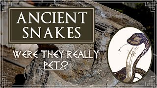 Were Snakes kept as Pets in Ancient Greece & Rome?