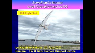 サーボ駆動翼竜型羽ばたき機 25g　ServoFlapOrnithopter small Rhamphorhynchus105 10th Flight Test