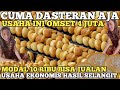 MODAL 10 RIBU BISA JUALAN ! IBU HEBAT RAUP OMSET 4 JUTA USAHA JAJANAN MURAH INI! IDE BISNIS RUMAHAN