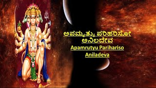 ಅಪಮೃತ್ಯು ಪರಿಹರಿಸೋ ಅನಿಲದೇವ | Apamrutyu Parihariso Aniladeva | ಶ್ರೀ ಜಗನ್ನಾಥವಿಠಲ |Sri Jagannathavittala