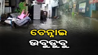 ଚେନ୍ନାଇ ଉବୁଟୁବୁ  | Odisha Reporter