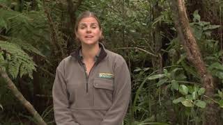 Meet the Locals: Rarest kiwi