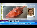 「龍頭蝦身」罕見怪魚　漁民台東大武外海捕獲｜三立新聞網 setn.com