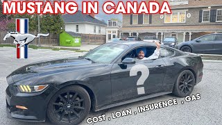 MUSTANG IN  CANADA 🇨🇦 $30,000 LOAN , INSURENCE , GAS  | INTERNATIONAL STUDENT