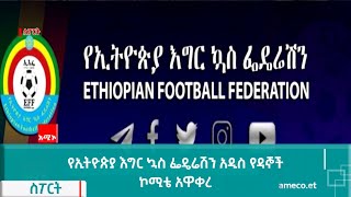 የኢትዮጵያ እግር ኳስ ፌዴሬሽን አዲስ የዳኞች ኮሚቴ አዋቀረ