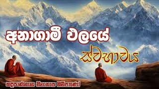 අනාගාමී ඵලයේ ස්වභාවය #Hadapangoda Niwathapa Thero#pahura#Dharmayai obai