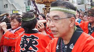 荻窪　白山神社　令和元年　例大祭　女みこし　2019/9/7  Ogikubo Hakusan Jinja Festival 17