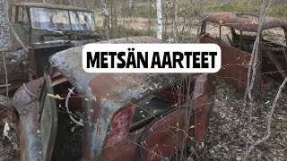 METSÄN AARTEET.