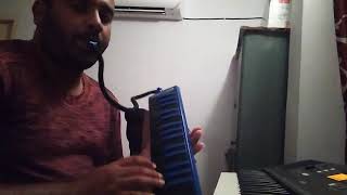 Ee Manchullo Telugu Song Melodica Cover