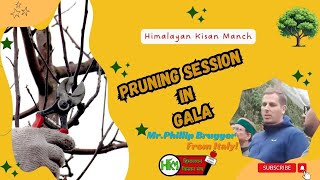 ||Training Pruning|| Of ||Gala Apple Trees || Expert Mr.Phillip Brugger From Italy