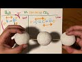 polar and nonpolar bonds how to tell if a molecule is polar or nonpolar