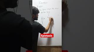 What is Epistasis in Genetics?