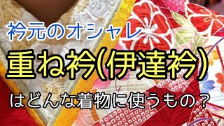 #385　伊達衿はどんな着物に使う？【振袖・重ね衿・岡崎市・呉服屋】