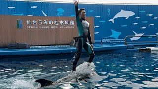 (241118)仙台うみの杜水族館スタジアムライブ