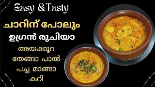 എന്താ രുചി 😋അടിപൊളി ടേസ്റ്റിൽ നല്ല കൊഴുത്ത ചാറോടു കൂടിയ അയക്കൂറ തേങ്ങാ പാൽ പച്ച മാങ്ങാ കറി/Fishcurry