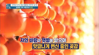 달콤함 가~득! 제철 맞은 곶감 MBN 201225 방송