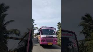 Vadasery to anjugramam #2025 #tnstc #shortsvideo #bustours #railwaycrossing #setc #redbus #pinkbus