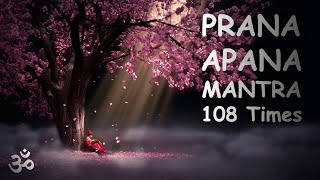 Prana Apana Sushumna Hari ⏐ Powerful Kundalini Mantra to Remove Negative Energies ⏐ 108 Times