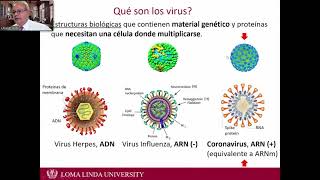 Ayuntamiento informativo - Información de vacunación LLU