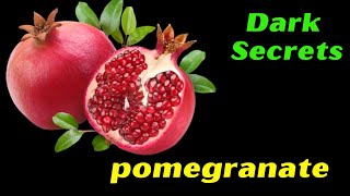 What is POMEGRANATE SYMBOL ★ Pomegranate Symbolism