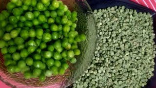 Dry peas| मटर सुखाने का तरीका सालो साल चलने वाली मटर Minki ka dhabha