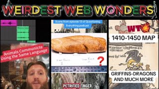 weirdest web wonders vol 49