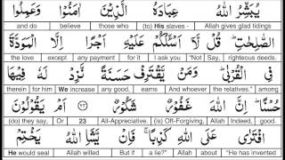 Surah 042 Word for Word  English Alafasy