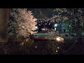 春の高崎城を歩く・城を囲む水堀や土居と満開の夜桜