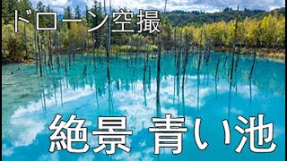 【ドローン撮影】絶景 青い池（北海道美瑛町）　※各関係機関から許可を得てフライトしています